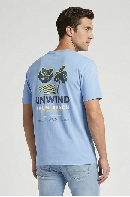 Cars Jeans - Tshirt Pluyo - Grey Blue