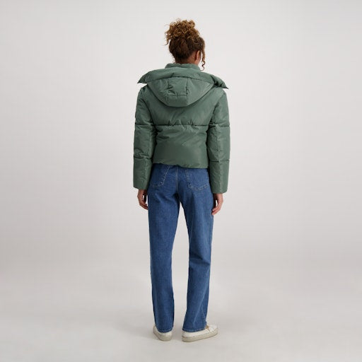 Cars Jeans - Jack Ryta - Moss