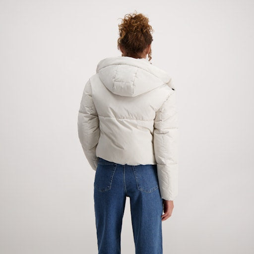 Cars Jeans - Jack Ryta - Kit